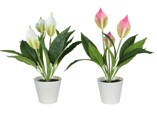 Цветочная композиция Спацифилиум, размер: высота 4 [01099478] Цветочная композиция Спацифилиум, размер: высота 40 см, ширина 35 см, материал: пластик,  РУЧНАЯ РАБОТА