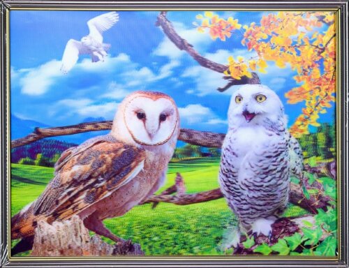 30х40 16 - Картина 5D [01109914] 30х40 16 - Картина 5D