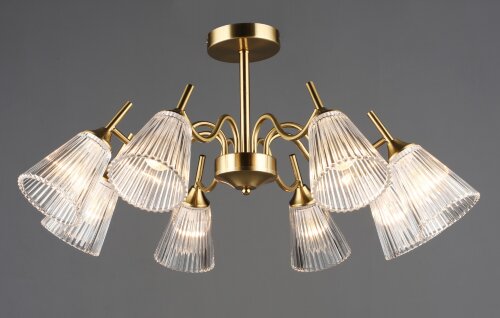 ВР-N6603/8 COP D720*H345мм (2) светильник потолочн [01110180] ВР-N6603/8 COP D720*H345мм (2) светильник потолочный