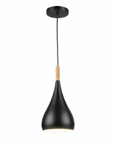 ВР-N5652/1H BK (10) светильник потолочный [01107561] ВР-N5652/1H BK (10) светильник потолочный