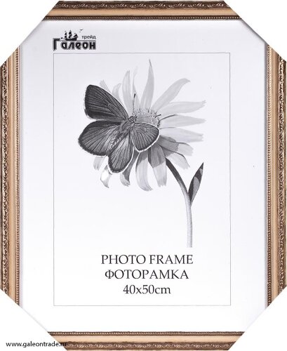 611614 (в уп.10шт.) - Фоторамка 40x50см. /3101С-21 [01110014] 611614 (в уп.10шт.) - Фоторамка 40x50см. /3101С-213А /, материал: пластик, стекло, двп.