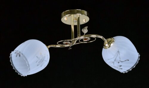 ДС9190/2 FGD (6) светильник потолочный [01074805] ДС9190/2 FGD (6) светильник потолочный