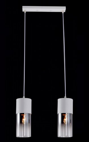 МС-XA3140/2 WH (2) светильник потолочный [01101809] МС-XA3140/2 WH (2) светильник потолочный