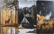65*99/3 D-10050 - Модульная картина [01103269]
