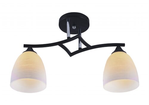 МС-XA1108/2 BK+CR (10) светильник потолочный [01102569] МС-XA1108/2 BK+CR (10) светильник потолочный