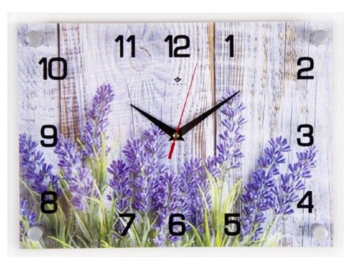 2535-069 (в кор.10шт.) - Часы настенные"Фиолетовые [01094359] 2535-069 (в кор.10шт.) - Часы настенные"Фиолетовые цветы"21 Век, размер: 25*35см, материал: дерево, стекло, часовой механизм кварцевый, плавный ход