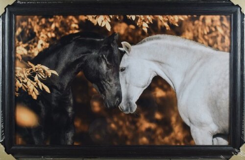 60*100 холст в багете H-1237 [01103310] 60*100 холст в багете H-1237