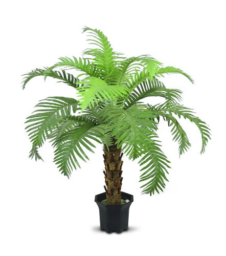 14881 (в уп.24шт.) - Дерево декоративное "Папортни [01064850] 14881 (в уп.24шт.) - Дерево декоративное "Папортник" с горшком 72см, полиэстер+дерево.