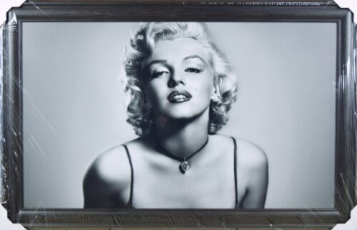 60*100 холст в багете R-2012 [01099016] 60*100 холст в багете R-2012