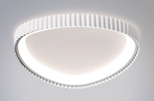 Ч-MK8248-65 WH Led 102W 3000-7000K диммер, размер: [01110717] Ч-MK8248-65 WH Led 102W 3000-7000K диммер, размер: D650*H60мм (1) светильник потолочный