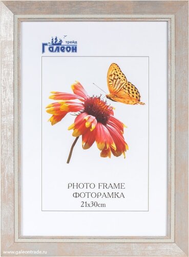 631584 (в уп.10шт.) - Фоторамка 21x30см. /CH619-2/ [01110008] 631584 (в уп.10шт.) - Фоторамка 21x30см. /CH619-2/, материал: пластик, стекло, двп.