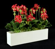 Цветочная композиция Герань, размер: высота 46см, [01088688]