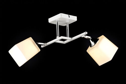 ВР-N6646/2 WT+CR L430*W280*H240мм (10) светильник [01109580] ВР-N6646/2 WT+CR L430*W280*H240мм (10) светильник потолочный