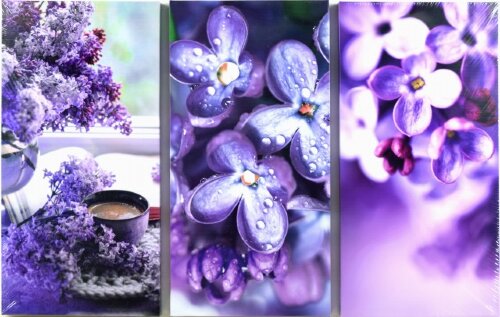 65*99/3 D-10102 - Модульная картина [01108353] 65*99/3 D-10102 - Модульная картина