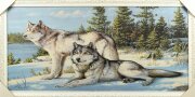 60*120 58 Белая рамка "Волки" Картина гобелен [01086935]