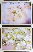 70*100/2 37 - Репродукция картины [01102048]