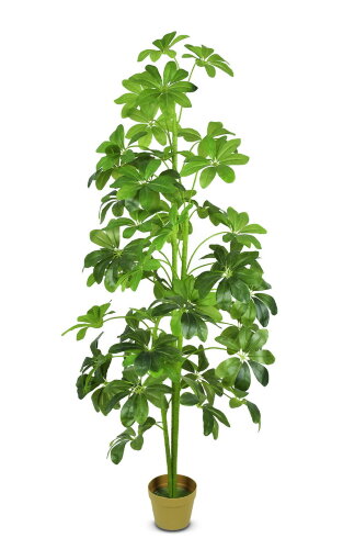 17213 (в уп.4шт.) - Дерево декоративное "Шеффлера" [01064854] 17213 (в уп.4шт.) - Дерево декоративное "Шеффлера" с горшком 187см, полиэстер+дерево.