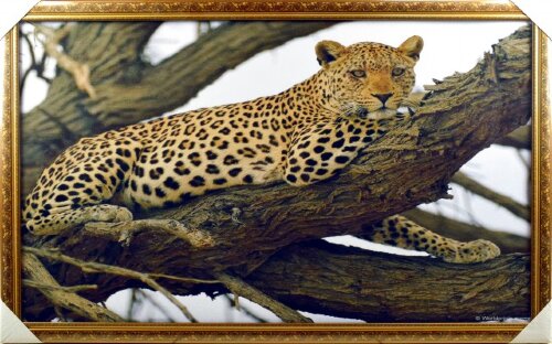 60*100 031 Н - Репродукция картины [01090310] 60*100 031 Н - Репродукция картины