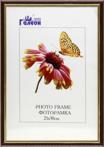 140310 (в уп.10шт.) - Фоторамка 21х30 /1300B-703A1 [01068906] 140310 (в уп.10шт.) - Фоторамка 21х30 /1300B-703A1/, размер: 21х30см, материал: пластик,стекло, двп.