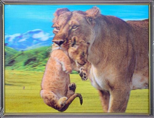 30х40 27 - Картина 5D [01109925] 30х40 27 - Картина 5D