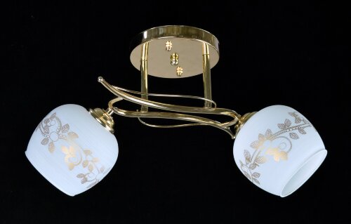 ДС9179/2 (6) FG светильник потолочный [01074780] ДС9179/2 (6) FG светильник потолочный