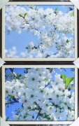 70*100/2 39 - Репродукция картины [01102051]