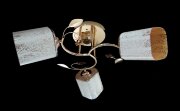 ДС7305A/3 FGD (4) светильник потолочный [01099971]