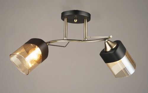 ВР-N4017/2 BK+AB (10) светильник потолочный [01098731] ВР-N4017/2 BK+AB (10) светильник потолочный