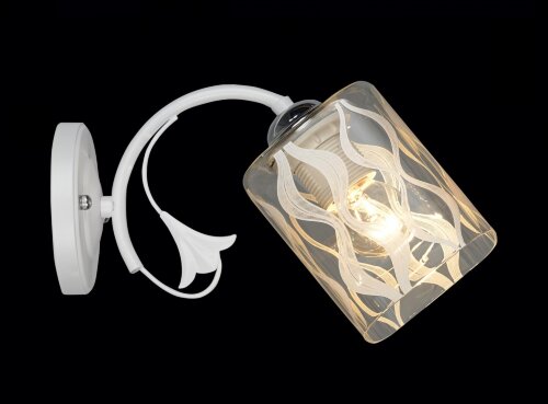 ВР-N4079/1 WT+CR (20) светильник настенный [01098761] ВР-N4079/1 WT+CR (20) светильник настенный