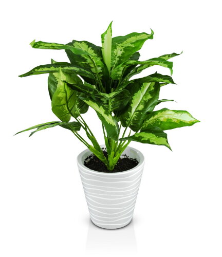 Диффенбахия, размер: высота 50 см, ширина 35 см., [01107076] Диффенбахия, размер: высота 50 см, ширина 35 см., материал: пластик. РУЧНАЯ РАБОТА