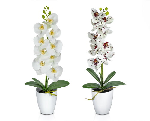 Орхидея в пластиковом горшке, размер: высота 60 см [01097648] Орхидея в пластиковом горшке, размер: высота 60 см, ширина 25 см, материал:  пластик РУЧНАЯ РАБОТА