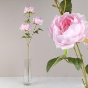 739879 (в уп.200шт.) - Цветок искусственный Пион р [01109658]