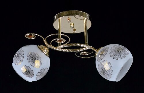 ДС9191/2 (6) FGD светильник потолочный [01075260] ДС9191/2 (6) FGD светильник потолочный