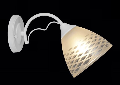 ВР-N4030/1W WT (20) светильник настенный [01098698] ВР-N4030/1W WT (20) светильник настенный