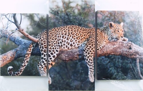 65*99/3 Q-220 - Модульная картина [01096666] 65*99/3 Q-220 - Модульная картина