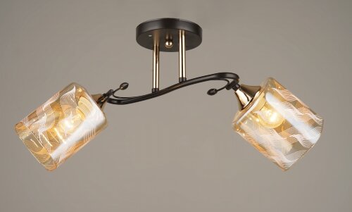 ВР-N4076/2 BK+FGD (10) светильник потолочный [01098754] ВР-N4076/2 BK+FGD (10) светильник потолочный