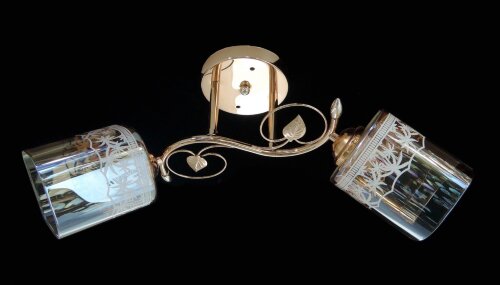 ДС9609A/2 FGD (6) светильник потолочный [01100016] ДС9609A/2 FGD (6) светильник потолочный