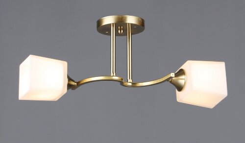 ВР-N6397/2 COP L500*W160*H195 мм (10) светильник п [01109622] ВР-N6397/2 COP L500*W160*H195 мм (10) светильник потолочный