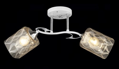 ВР-N4079/2 WT+CR (10) светильник потолочный [01098758] ВР-N4079/2 WT+CR (10) светильник потолочный