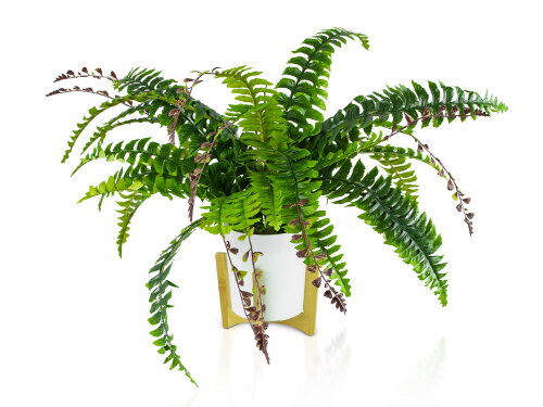 Цветочная композиция Папоротник размер: высота 50 [01097649] Цветочная композиция Папоротник размер: высота 50 см, ширина 60 см, материал:  пластик РУЧНАЯ РАБОТА