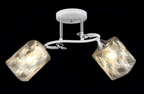 ВР-N4073/2 WT+CR (10) светильник потолочный [01098749] ВР-N4073/2 WT+CR (10) светильник потолочный