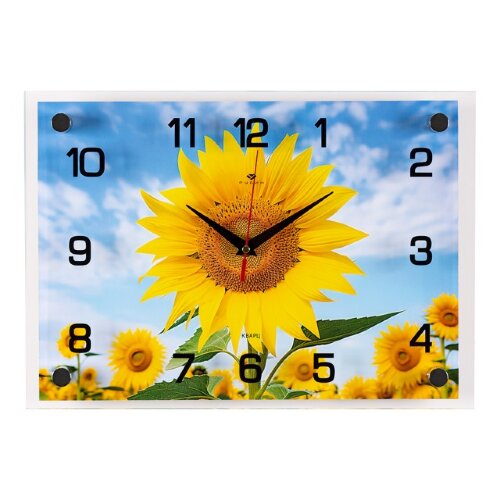 2535-305 (10) Часы настенные "Подсолнух в облаках" [01106724] 2535-305 (10) Часы настенные "Подсолнух в облаках" Рубин