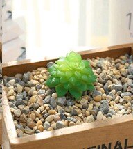 682796 (в уп.100шт.) - Суккулент искусственный / G [01102582] 682796 (в уп.100шт.) - Суккулент искусственный / GN104 /, материал: пластик.