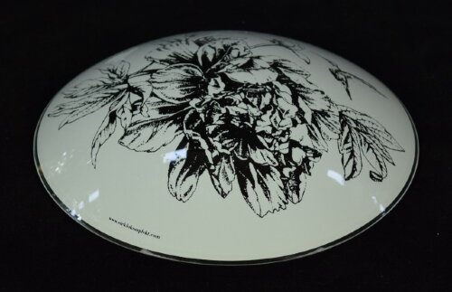 ГС250 Колибри (10) [01084945] ГС250 Колибри (10)