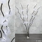 752539 (в уп.наб.) - Сухоцвет набор 5шт, 160см кап [01111599]