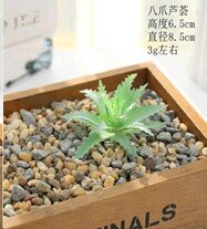 682810 (в уп.100шт.) - Суккулент искусственный / G [01102590] 682810 (в уп.100шт.) - Суккулент искусственный / GN115 /, материал: пластик.