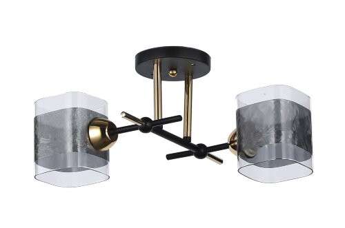 Д8035/2 BK+FG (10) светильник потолочный [01103363] Д8035/2 BK+FG (10) светильник потолочный