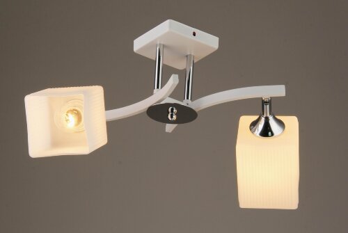 ВР-N3323/2 WT+CR (10) светильник потолочный [01091561] ВР-N3323/2 WT+CR (10) светильник потолочный