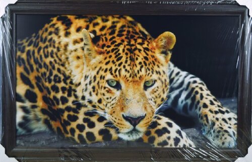 60*100 холст в багете H-1153 [01099012] 60*100 холст в багете H-1153