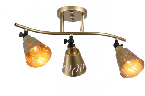 ФП-GH50112/3 FGD+BK (1) светильник потолочный [01096372] ФП-GH50112/3 FGD+BK (1) светильник потолочный